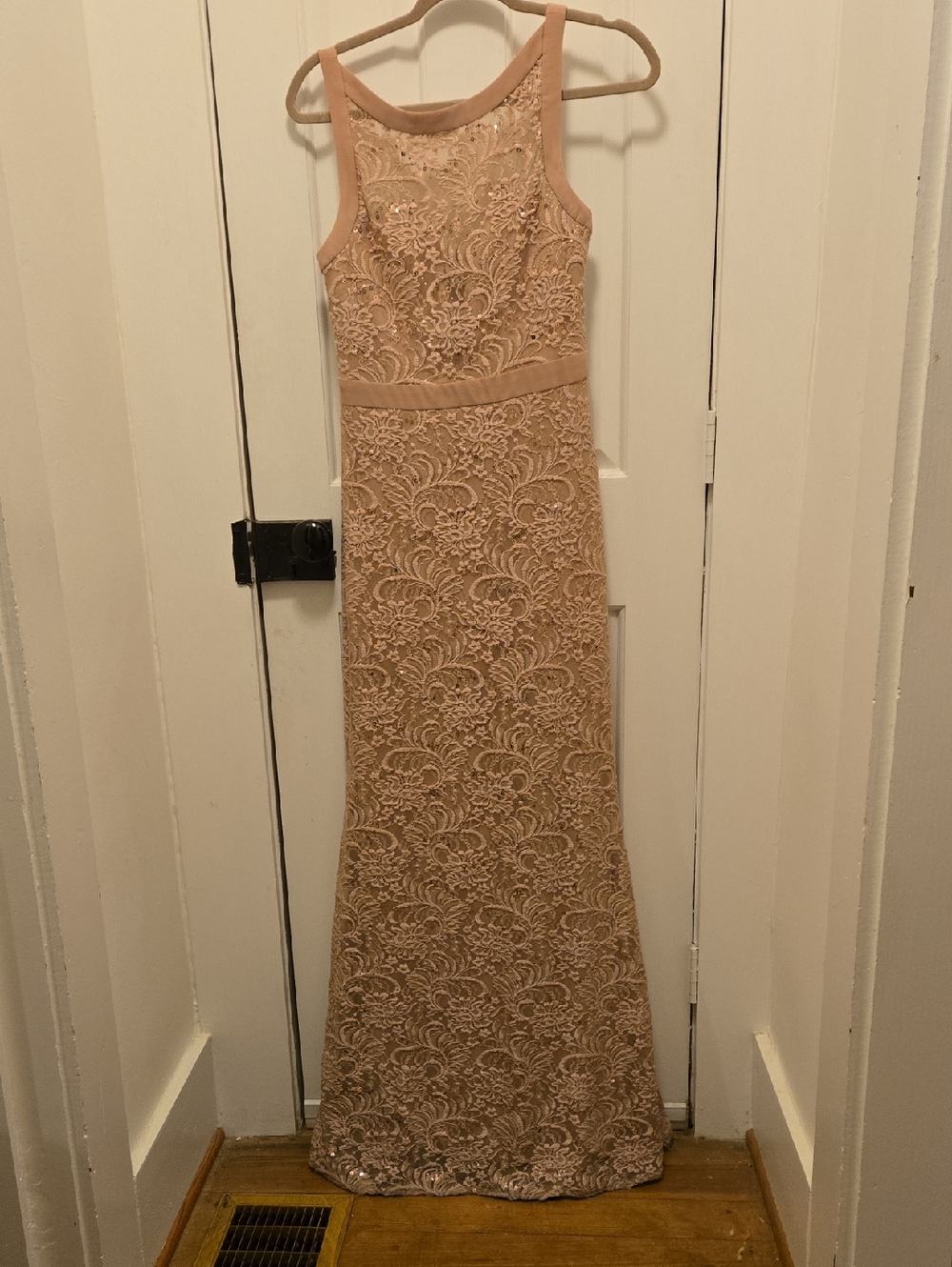 Sleeveless Lace Formal Dress in Blush Pink Size 4 Tall
